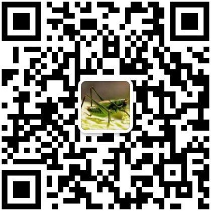 关注你附近